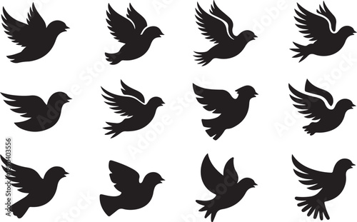 Birds in Flight Silhouettes Collection various pigeon