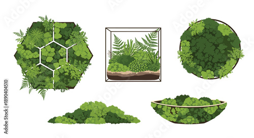 Modern plant terrarium collection. Hexagonal, square, and circular glass containers with lush green greenery.