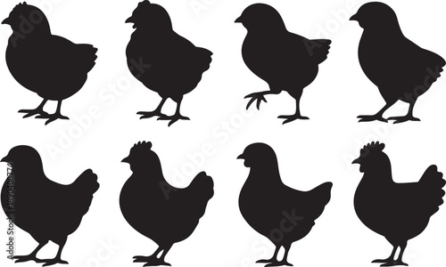 Chicken and Chick Silhouettes Collection bird various