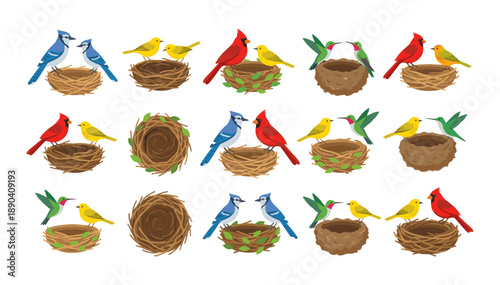 Bird couples and empty nests vector set