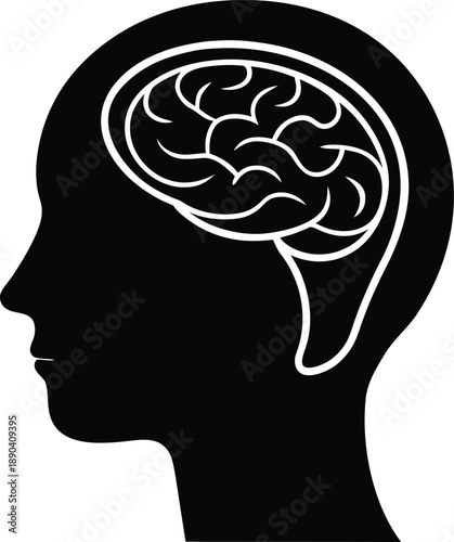 Human Head With Brain Inside