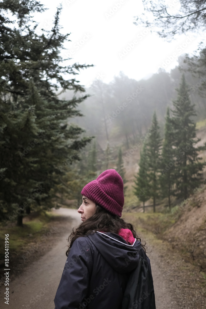 custom made wallpaper toronto digitalRear View of a Woman Walking Through the Forest on a Winter Day Contemplating the Landscape