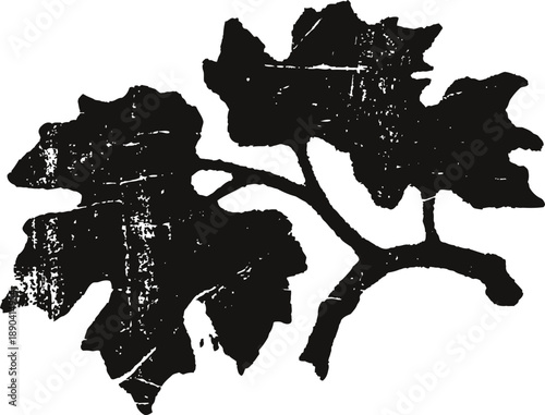 black silhouette of grapevine leaves with textured vintage effect and branch