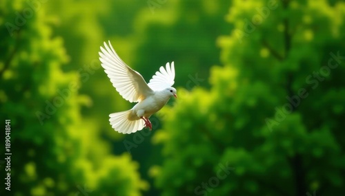 Elegant white pigeon in flight, lush green foliage, nature, wild, outdoor