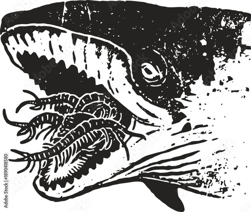 Vintage whale illustration with krill swarm in mouth, marine life and ocean ecosystem design