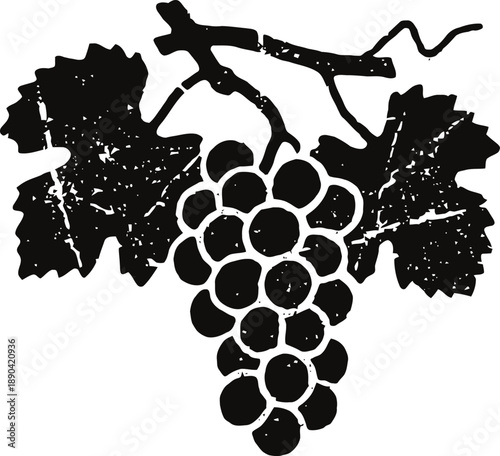 Black silhouette of grape cluster with vine and leaves illustration in vintage