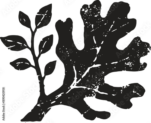 Abstract silhouette of oak and leafy branch with texture details on white background