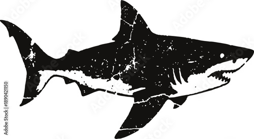 Grunge great white shark silhouette with textured distressed vintage effect