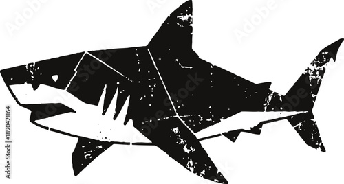 black and white illustration of a great white shark silhouette with a distressed texture effect