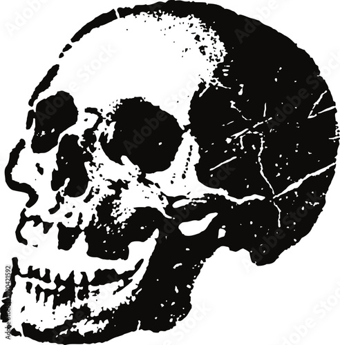 Black and white human skull illustration with texture and cracks, side view anatomical bone design