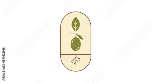 Olive tree graphic illustration with leaves and roots.