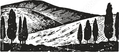 Monochrome illustration of rolling hills with tall cypress trees in scenic landscape