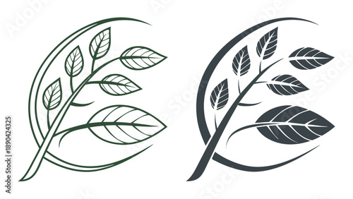 Two stylized graphical renderings of a leafy branch curving gracefully against an abstract background show outline and filled.
