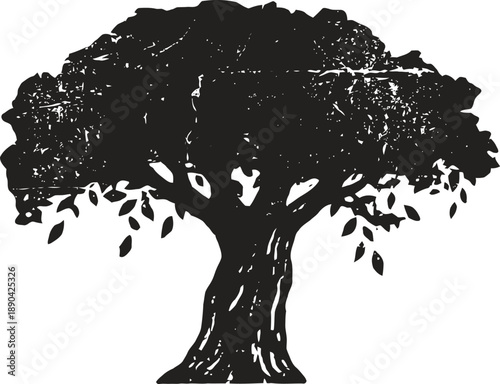 Large mature oak tree silhouette with textured bark and dense foliage spreading wide canopy