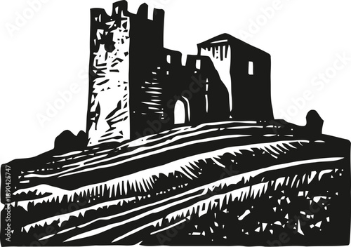 Medieval castle ruins on hilltop with textured grass and stone walls in black and white