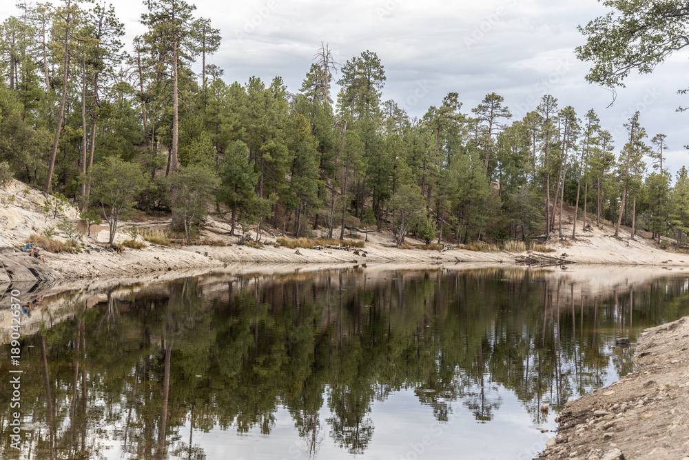 Obraz premium Mount Lemmon lake with water reflection of pine trees dry