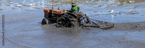 Bilde på lerret Farmer driving a tractor plowing a muddy rice paddy