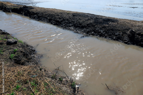Muddy irrigation canal in agricultural farmland with earthen embankment and sunlight reflection, representing water management, rural landscape, and farming environment