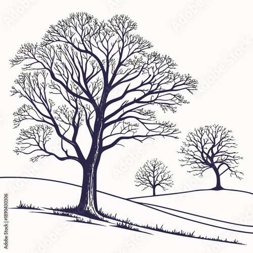 Three trees standing on a hillside with a clear sky in the background