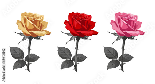 Three roses in different colors standing together in a minimalist style illustration