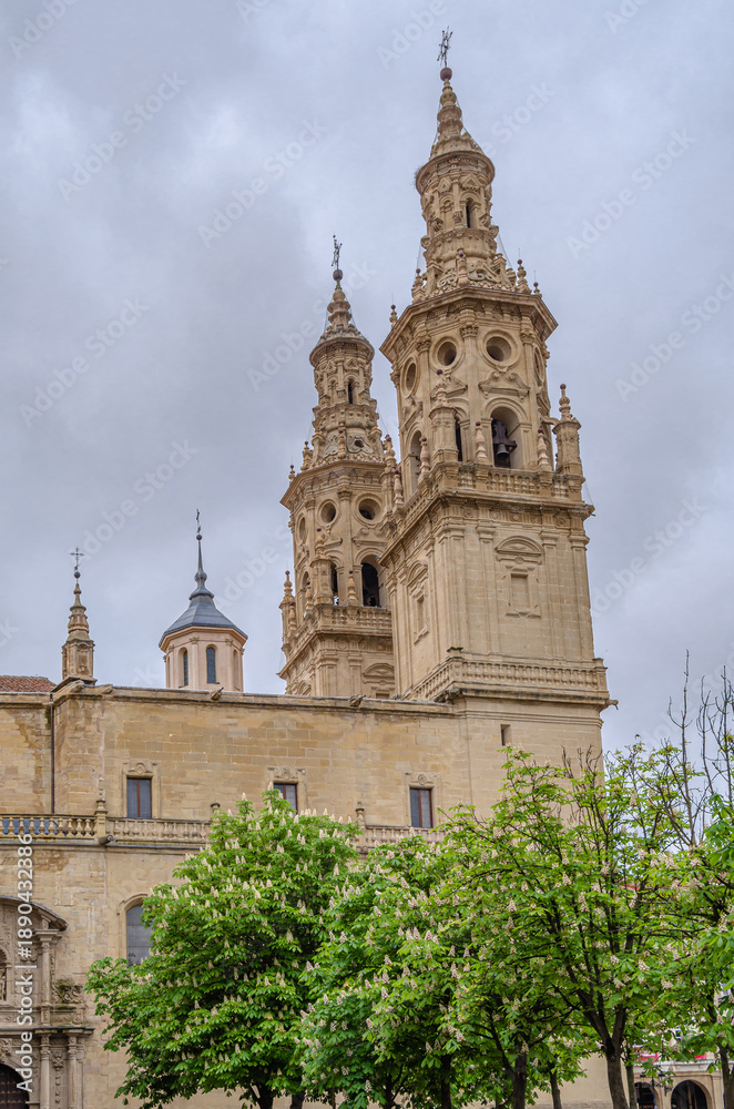 Fototapeta premium Santa Maria de la Redonda Co-Cathedral, Logrono, Spain