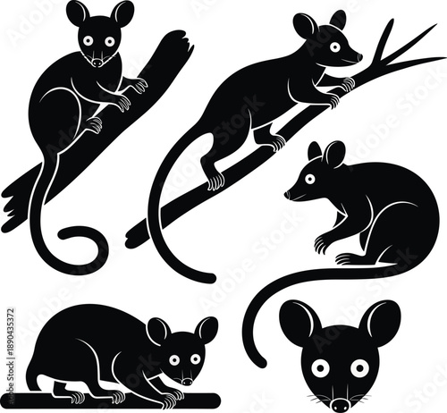 Mouse and rat silhouettes collection, small rodent animal vector illustration set, cute and wild mice isolated on white background