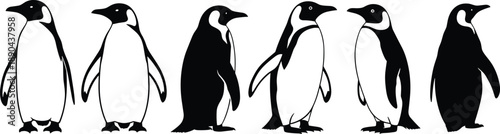 Penguin silhouette collection in different poses, arctic bird vector illustration set, cute antarctic animals isolated on white background design