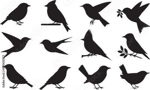 Twelve black silhouettes of various birds in different poses on a white background Keywords: bird, silhouette, black, white background, flying, perched, standing, wings spread, holding branch