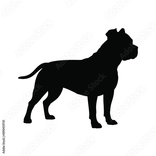 A striking black silhouette depicts a muscular pit bull dog standing proudly