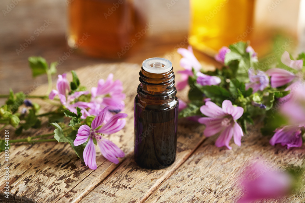 Naklejka premium A bottle of common mallow essential oil with blooming malva sylvestris twigs