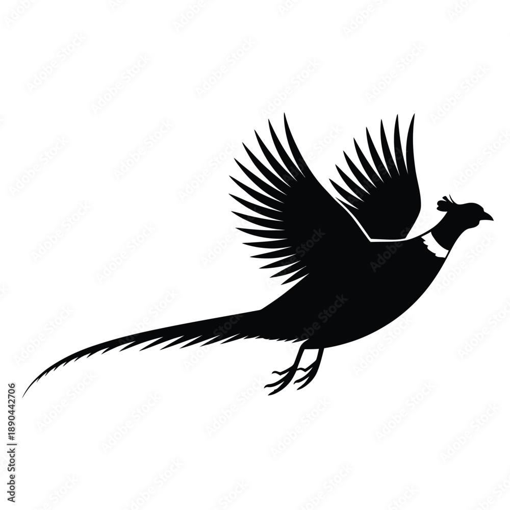 Obraz premium Silhouette of a pheasant in flight against a white background
