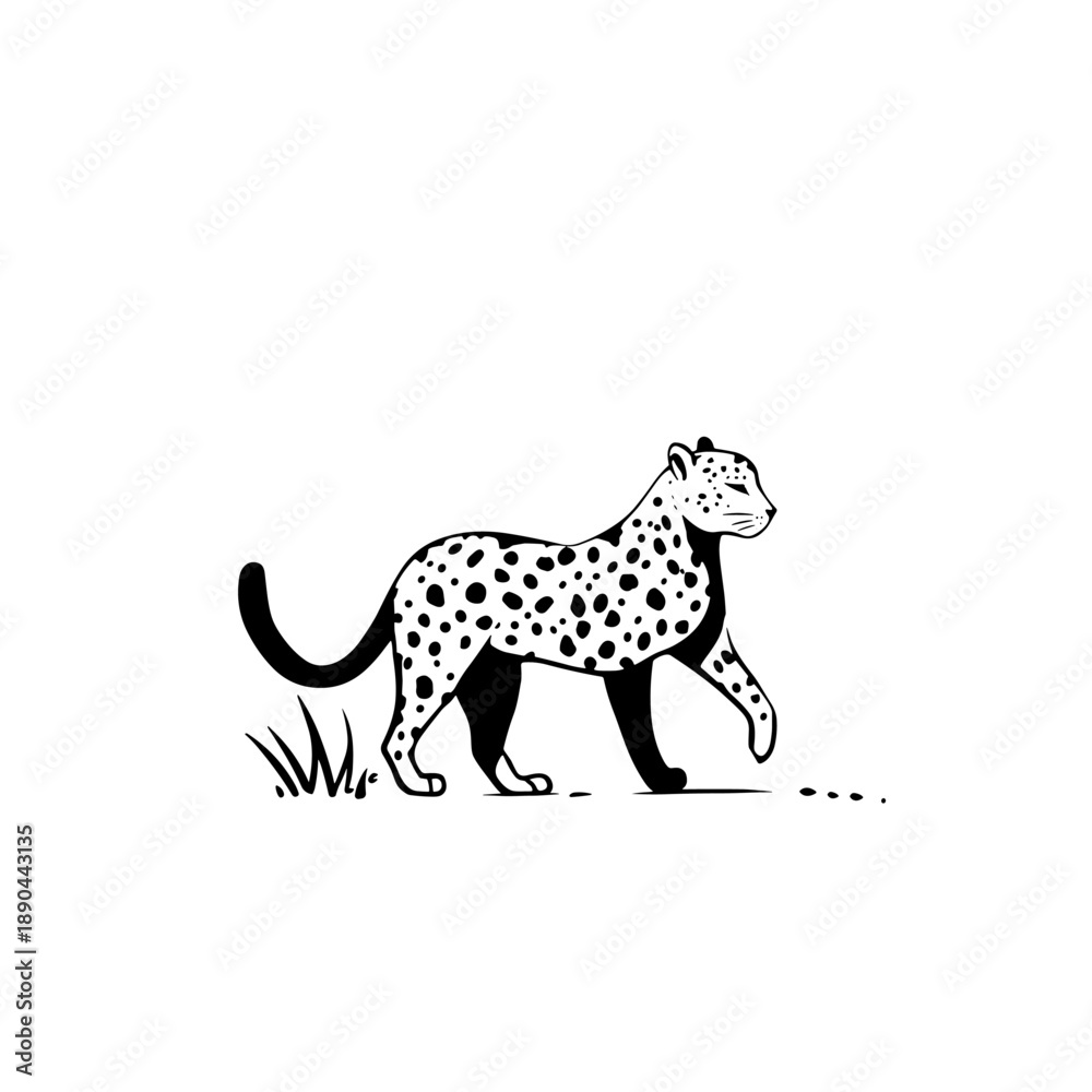 Obraz premium Leopard. Leopard simple black and white line art vector logo