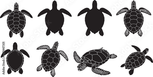 Set of cute cartoon sea turtles and green tortoises with shells isolated on white background as a vector nature illustration of slow reptile wildlife animals
