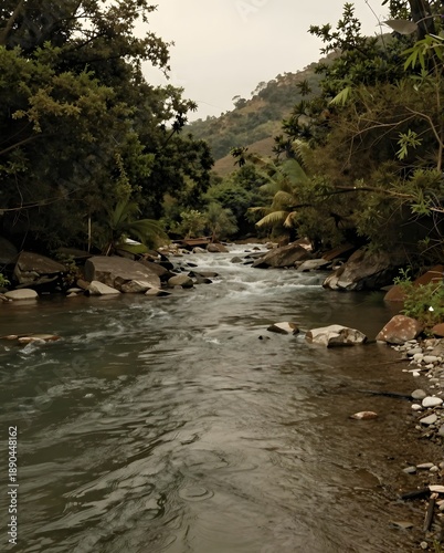 Serene River Flowing Through Rocky Landscape Surrounded by Lush Greenery and Hills