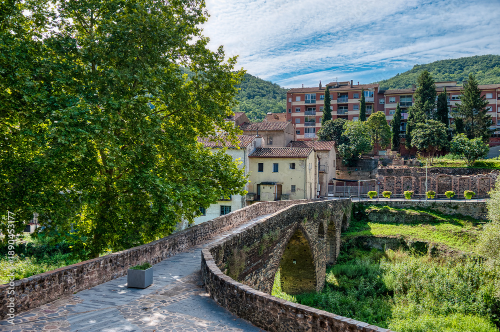 Fototapeta premium San Juan de Fuentes or San Juan les Fonts is a Spanish municipality in the province of Girona located in the Catalan region of La Garrocha.