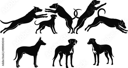 Silhouette vector illustration of energetic dogs in motion and posture, perfect for pet-themed designs, agility concepts, and animal movement studies in black style.