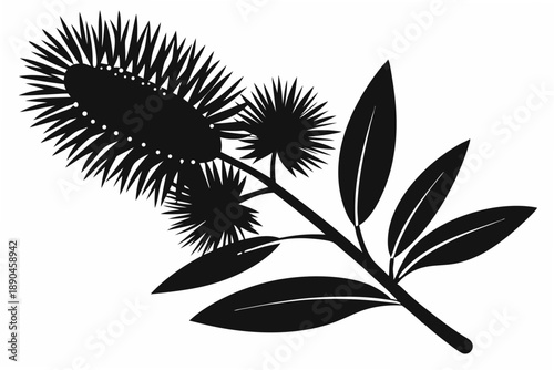 bottlebrush silhouette line art vector illustration