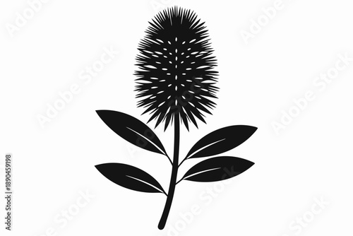 bottlebrush silhouette line art vector illustration