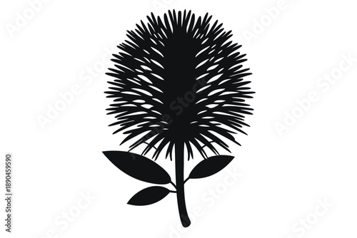 bottlebrush silhouette line art vector illustration