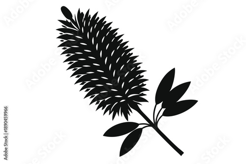 bottlebrush silhouette line art vector illustration
