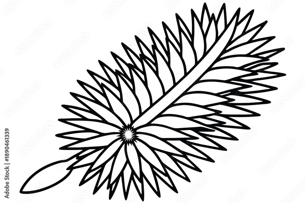 Obraz premium bottlebrush silhouette line art vector illustration