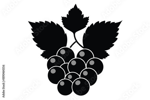 blackcurrant silhouette line art vector illustration