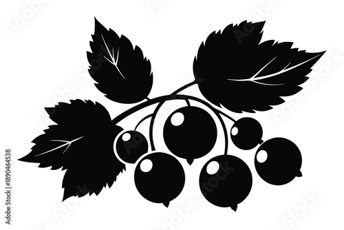 blackcurrant silhouette line art vector illustration