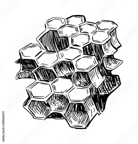Hand drawn honeycomb structure with hexagonal cells white background nature