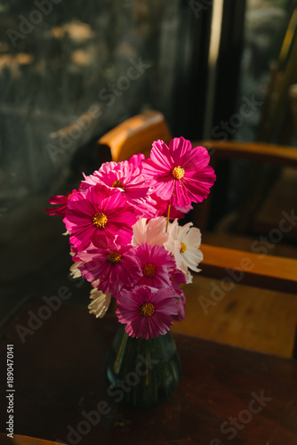 Bright pink cosmos flower bouquet in glass vase on wooden table with warm sunlight and blurred background creating cozy atmosphere