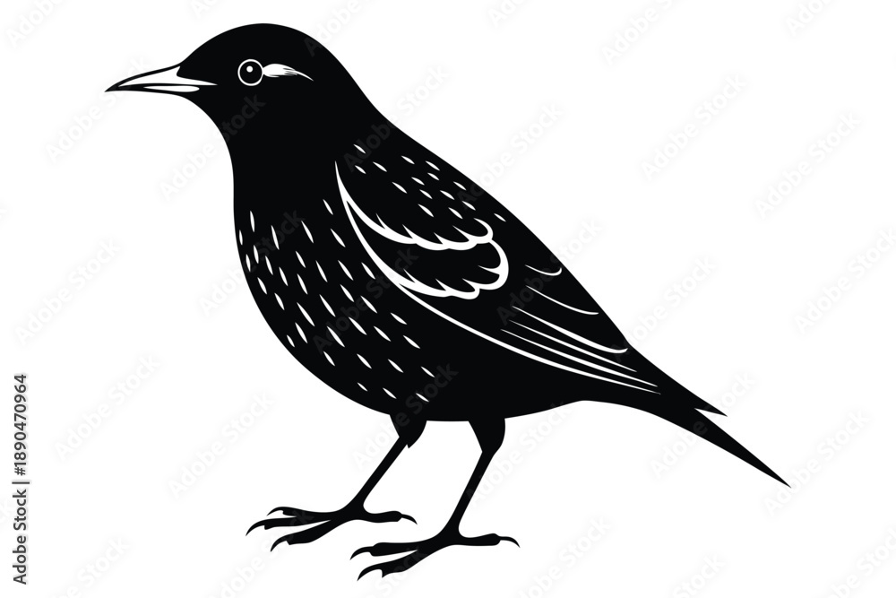 Fototapeta premium european starling silhouette line art vector illustration