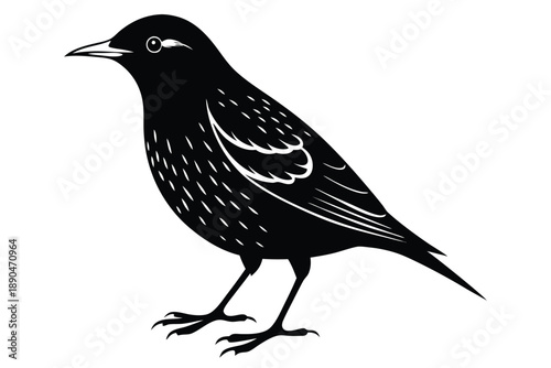 european starling silhouette line art vector illustration