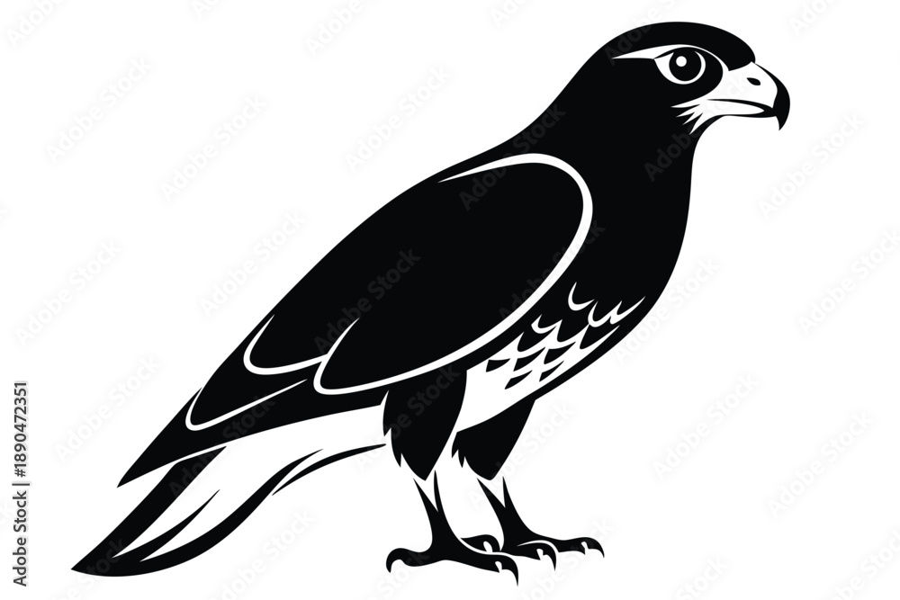 Fototapeta premium eurasian sparrowhawk silhouette line art vector illustration
