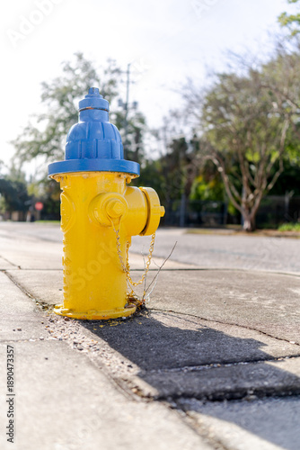 Bright Yellow and Blue Fire Hydrant on a Sunny Sidewalk