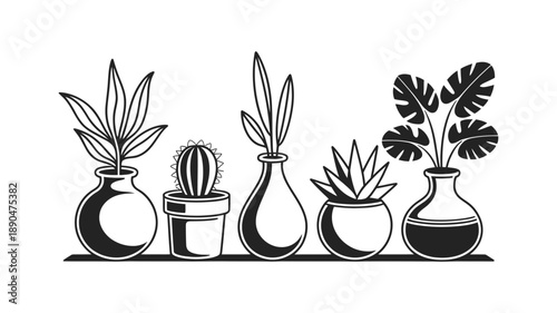 A charming black and white illustration of diverse houseplants in decorative pots